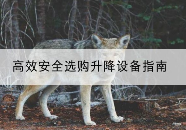德惠升降货梯厂家推荐-*安全选购升降设备指南