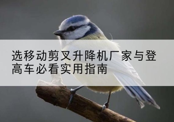 德惠电动升降机厂家-选移动剪叉升降机厂家与登高车必看实用指南
