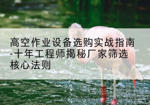 德惠剪叉式升降机厂家-高空作业设备选购实战指南-十年工程师揭秘厂家筛选核心法则